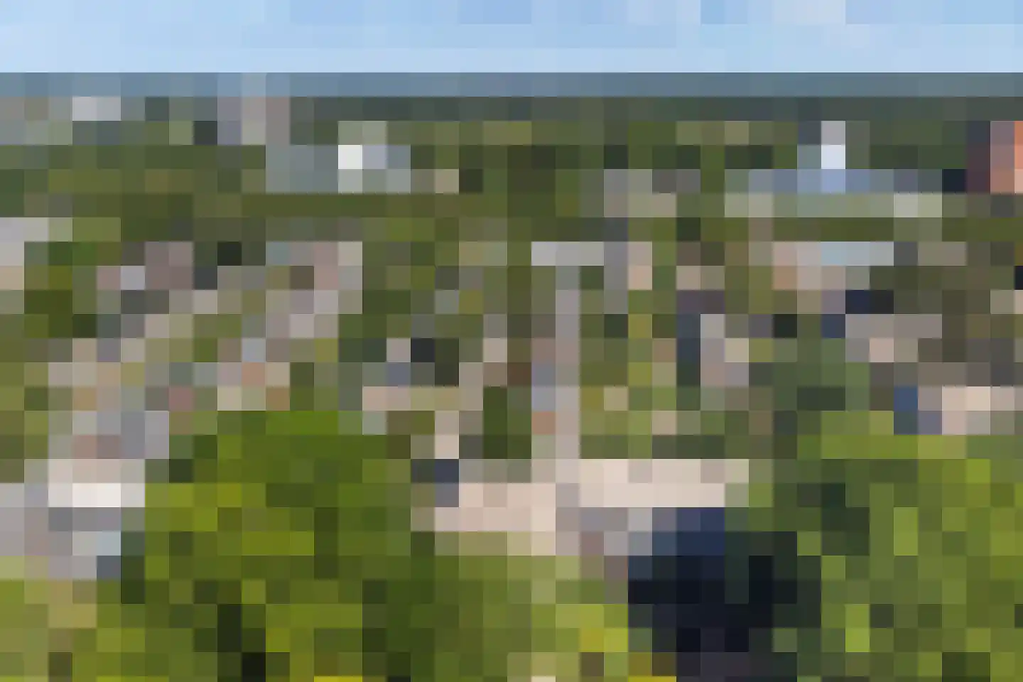 Eykmanstraat 4 II Wageningen thumbnail 39