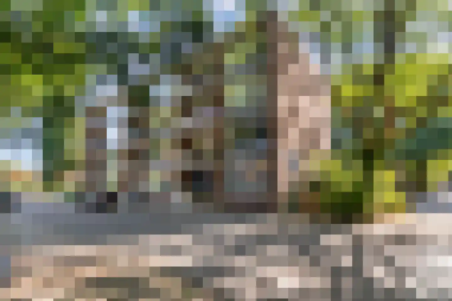 Eykmanstraat 4 II Wageningen thumbnail 41