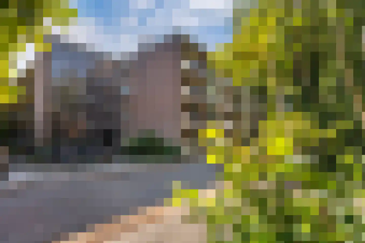Eykmanstraat 4 II Wageningen thumbnail 43