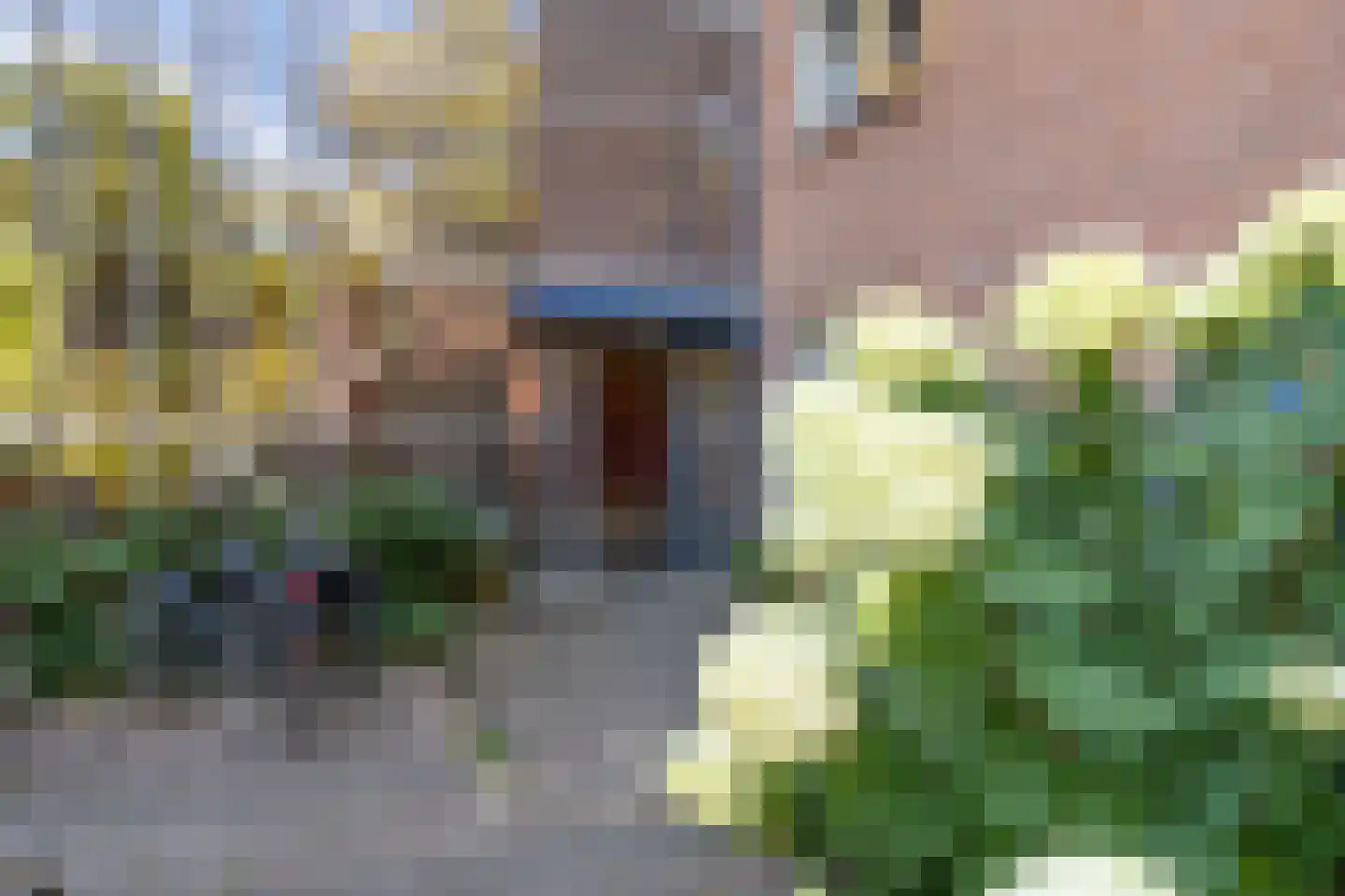 Eykmanstraat 4 II Wageningen thumbnail 44
