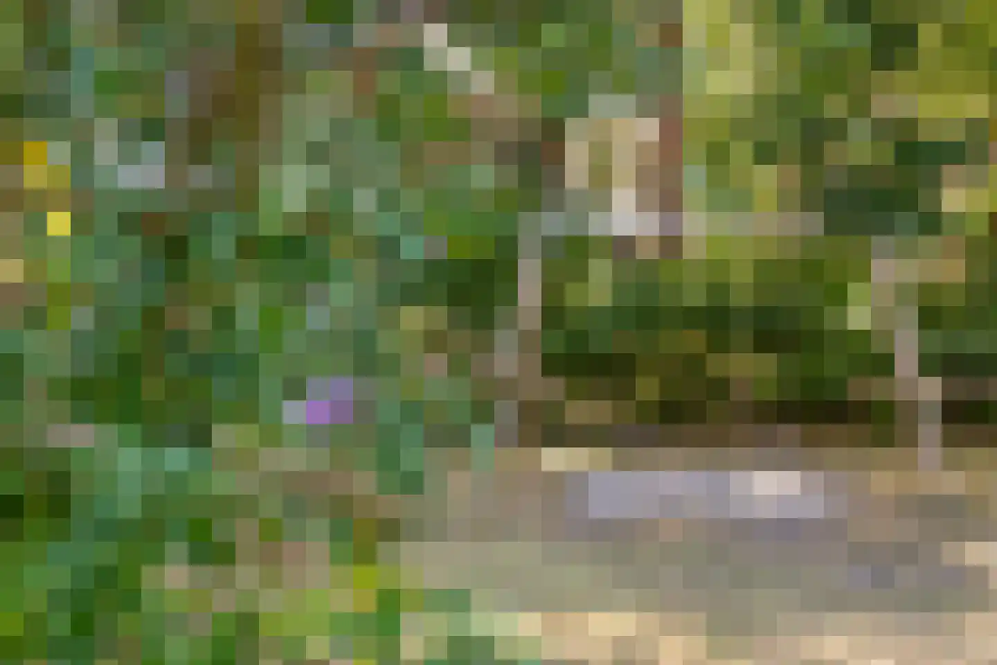 Eykmanstraat 4 II Wageningen thumbnail 46
