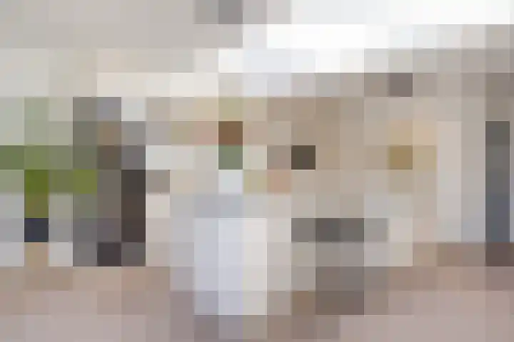 Eykmanstraat 7 Eindhoven thumbnail 14