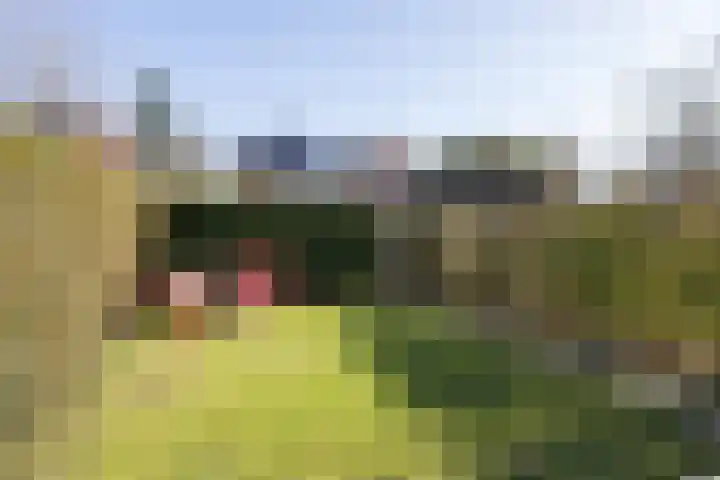 Eykmanstraat 7 Eindhoven thumbnail 31