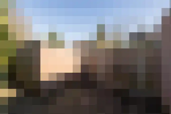 Eykmanstraat 7 Eindhoven thumbnail 32