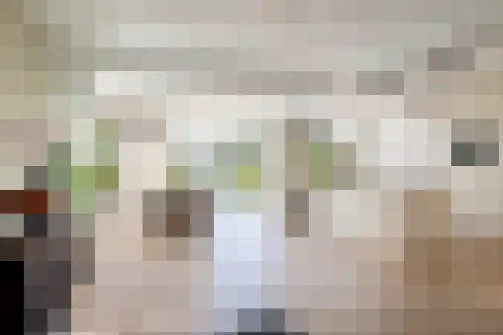 Eykmanstraat 7 Eindhoven thumbnail 4