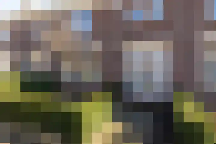 Eykmanstraat 7 Eindhoven thumbnail 6