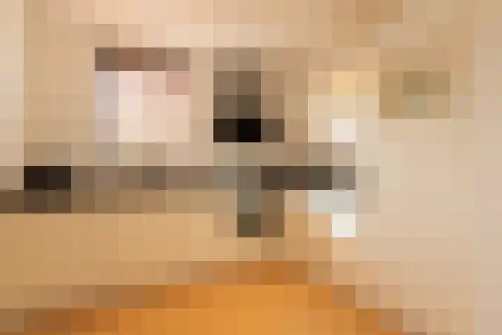 Eykmanstraat 7 Geleen thumbnail 12