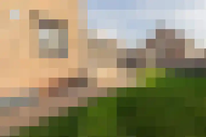 Eykmanstraat 7 Geleen thumbnail 19