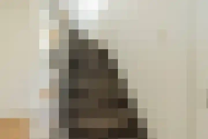 Eykmanstraat 7 Geleen thumbnail 24