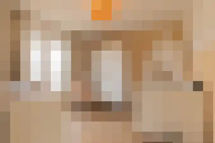 Eykmanstraat 7 Geleen thumbnail 27
