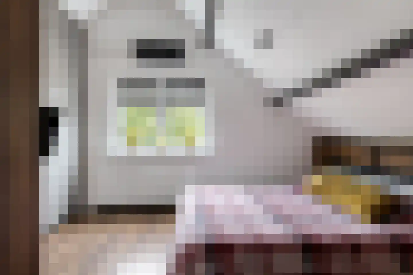 Eymerickhof 2 Helmond thumbnail 21