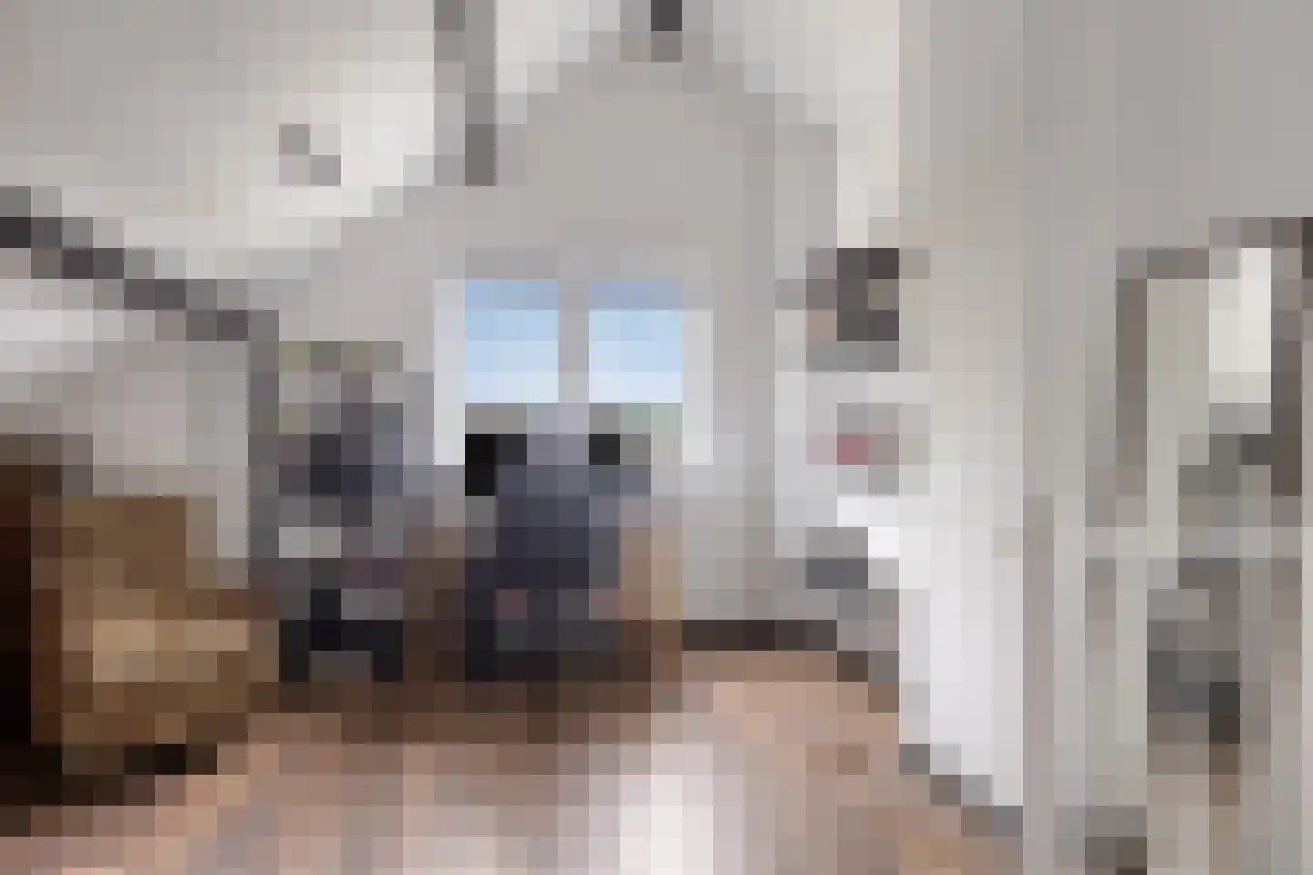 Eymerickhof 2 Helmond thumbnail 23