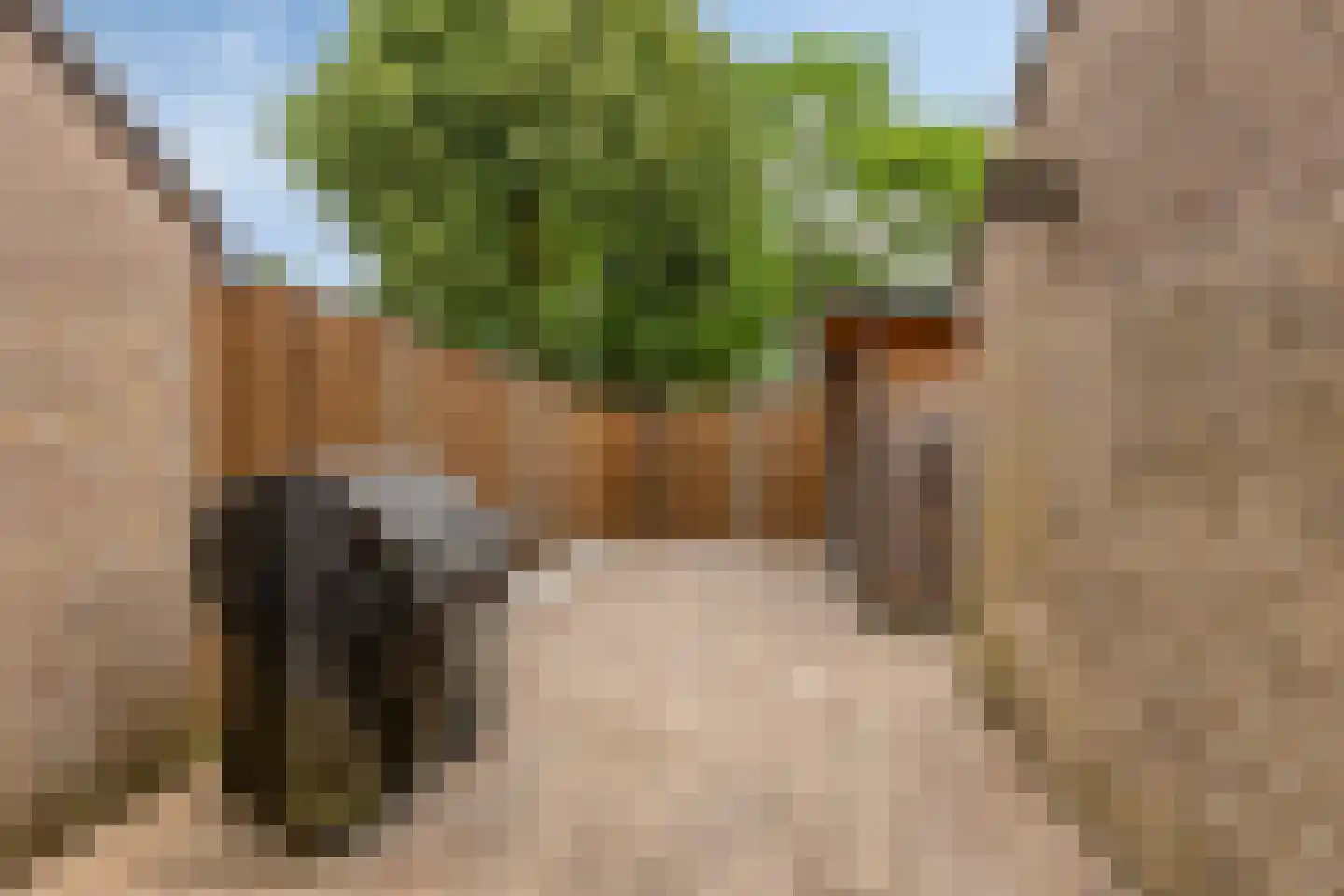 Eymerickhof 2 Helmond thumbnail 25
