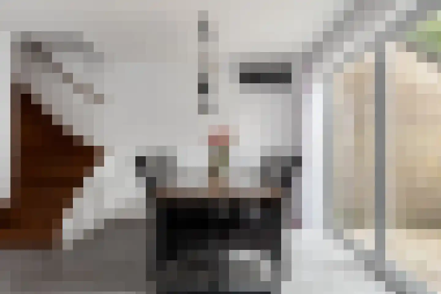 Eymerickhof 2 Helmond thumbnail 8