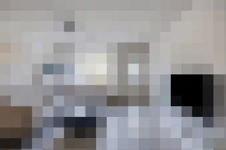 Eymerickhof 55 Helmond thumbnail 11