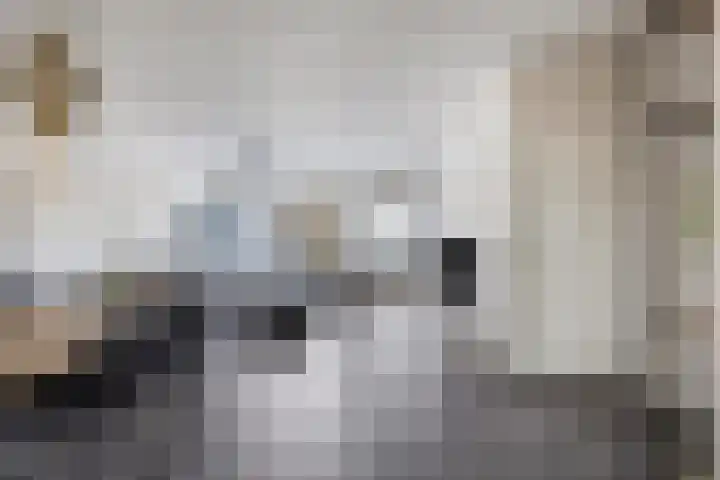Eymerickhof 55 Helmond thumbnail 20