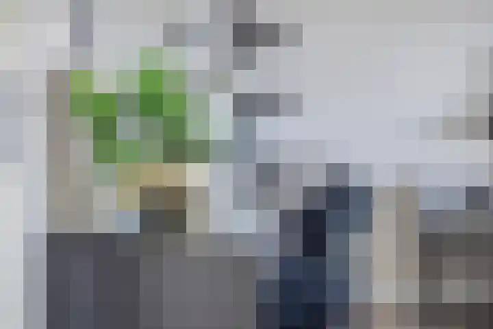Eymerickhof 55 Helmond thumbnail 24