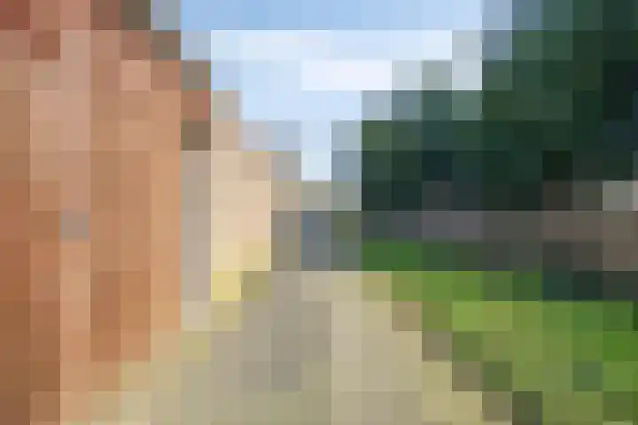 Eymerickhof 55 Helmond thumbnail 35