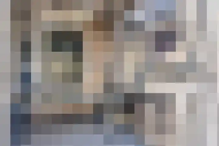 Eymerickhof 55 Helmond thumbnail 39
