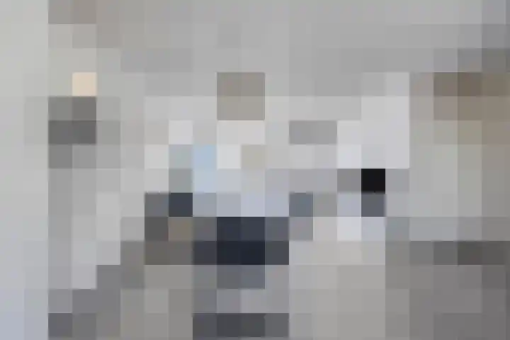 Eymerickhof 55 Helmond thumbnail 4