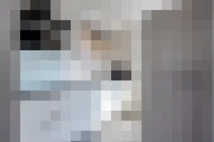 Eymerickhof 55 Helmond thumbnail 5