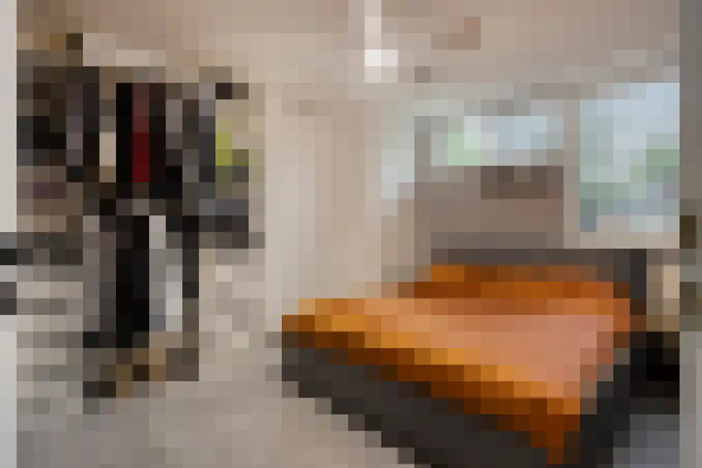 Eymerickhof 7 Helmond thumbnail 11