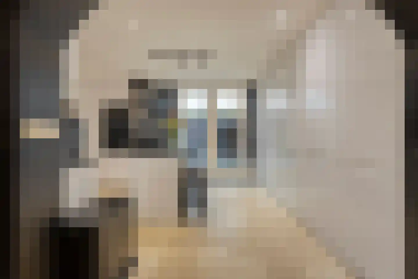 Eymerickhof 7 Helmond thumbnail 18