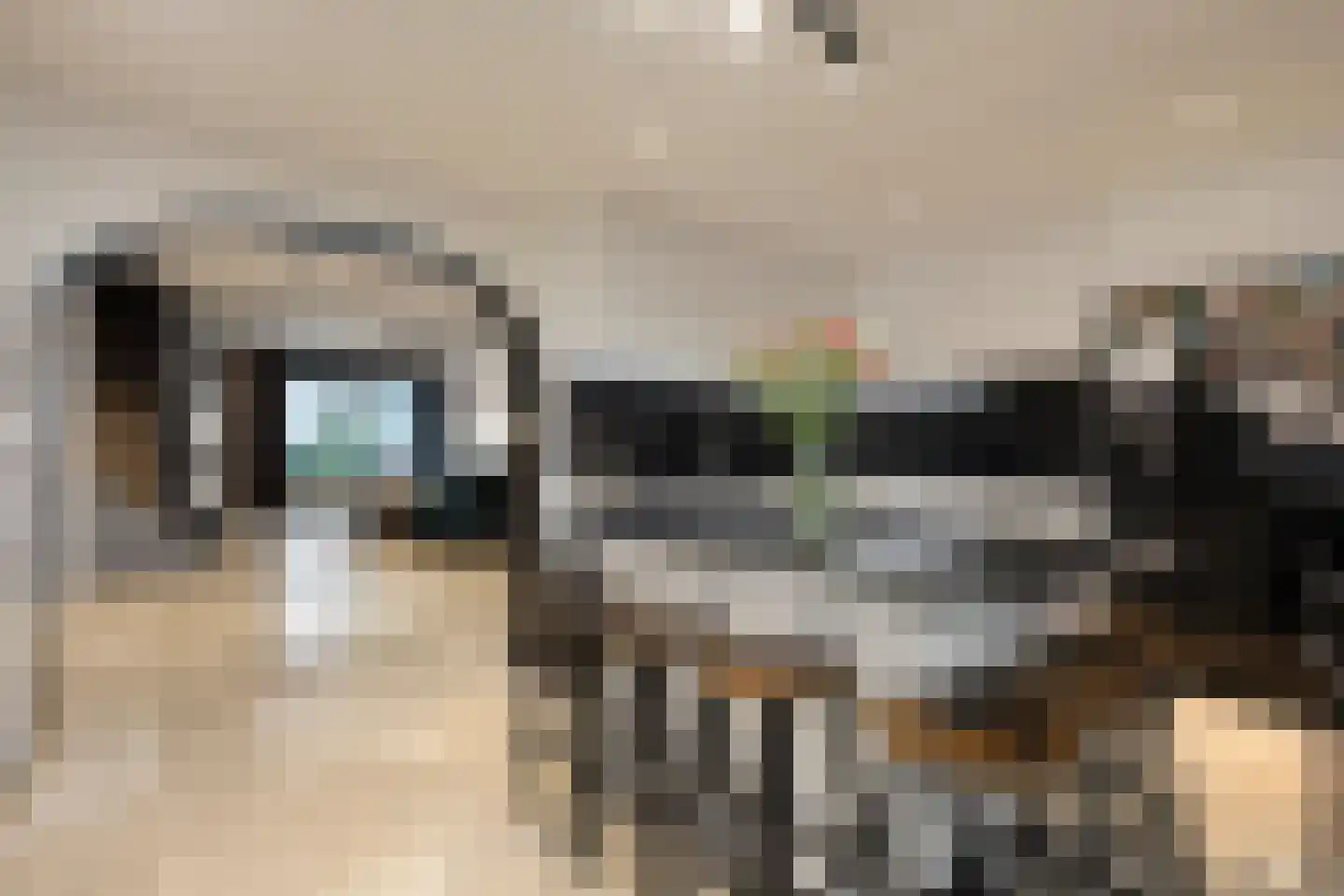 Eymerickhof 7 Helmond thumbnail 19