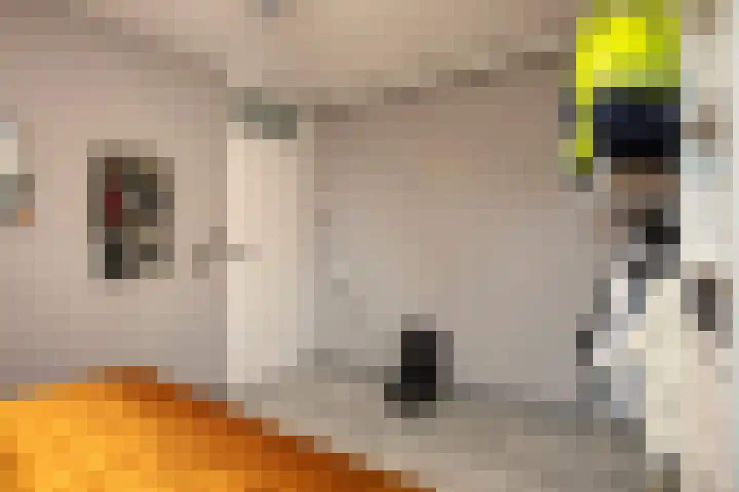 Eymerickhof 7 Helmond thumbnail 21