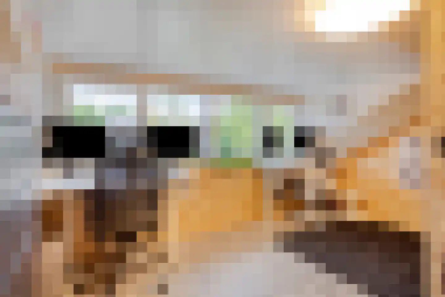 Eymerickhof 7 Helmond thumbnail 28