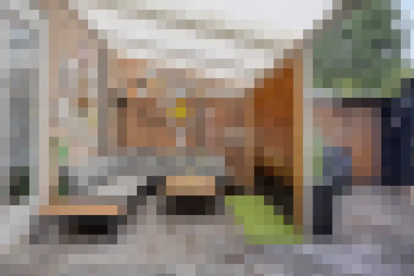 Eymerickhof 7 Helmond thumbnail 32