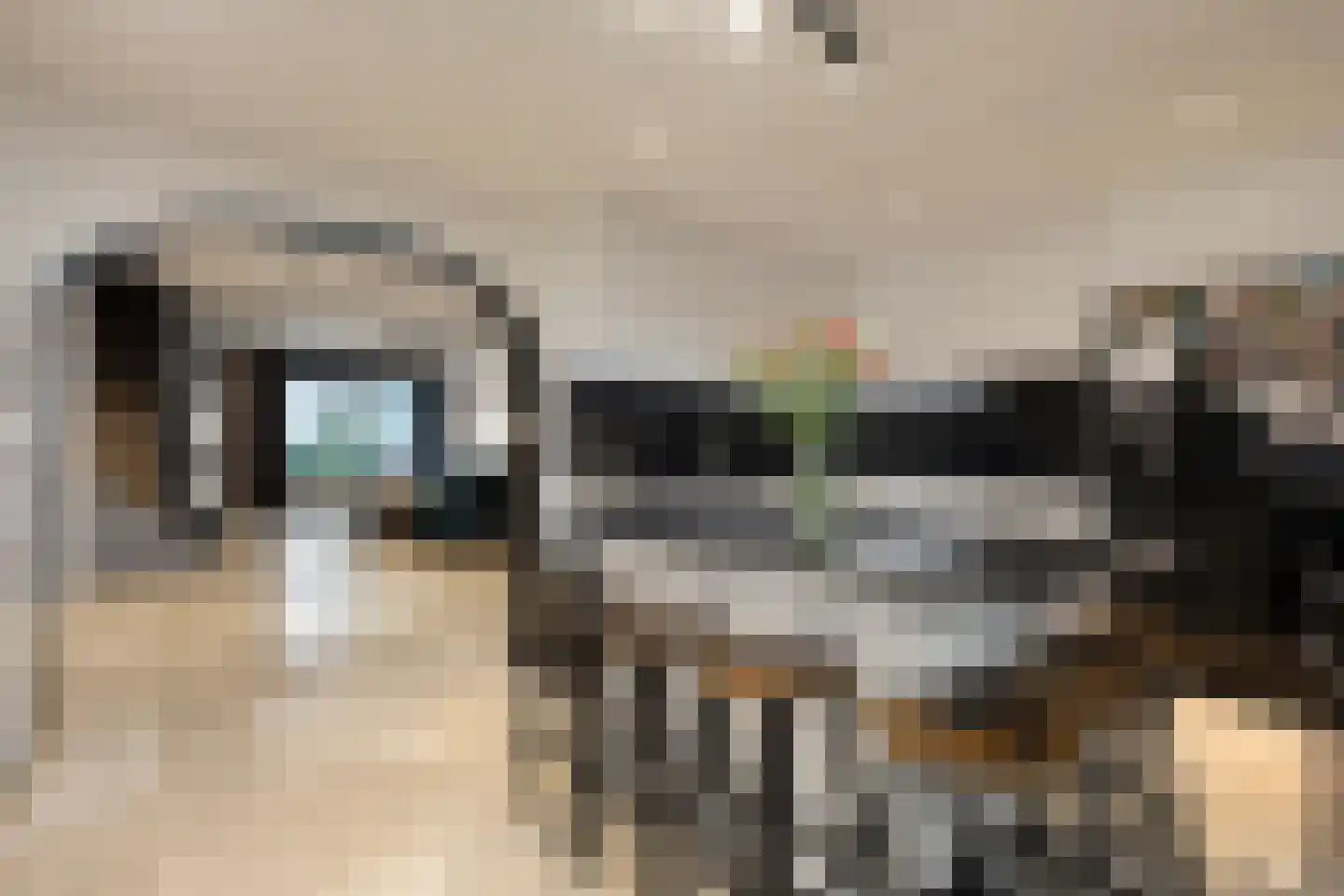 Eymerickhof 7 Helmond thumbnail 5