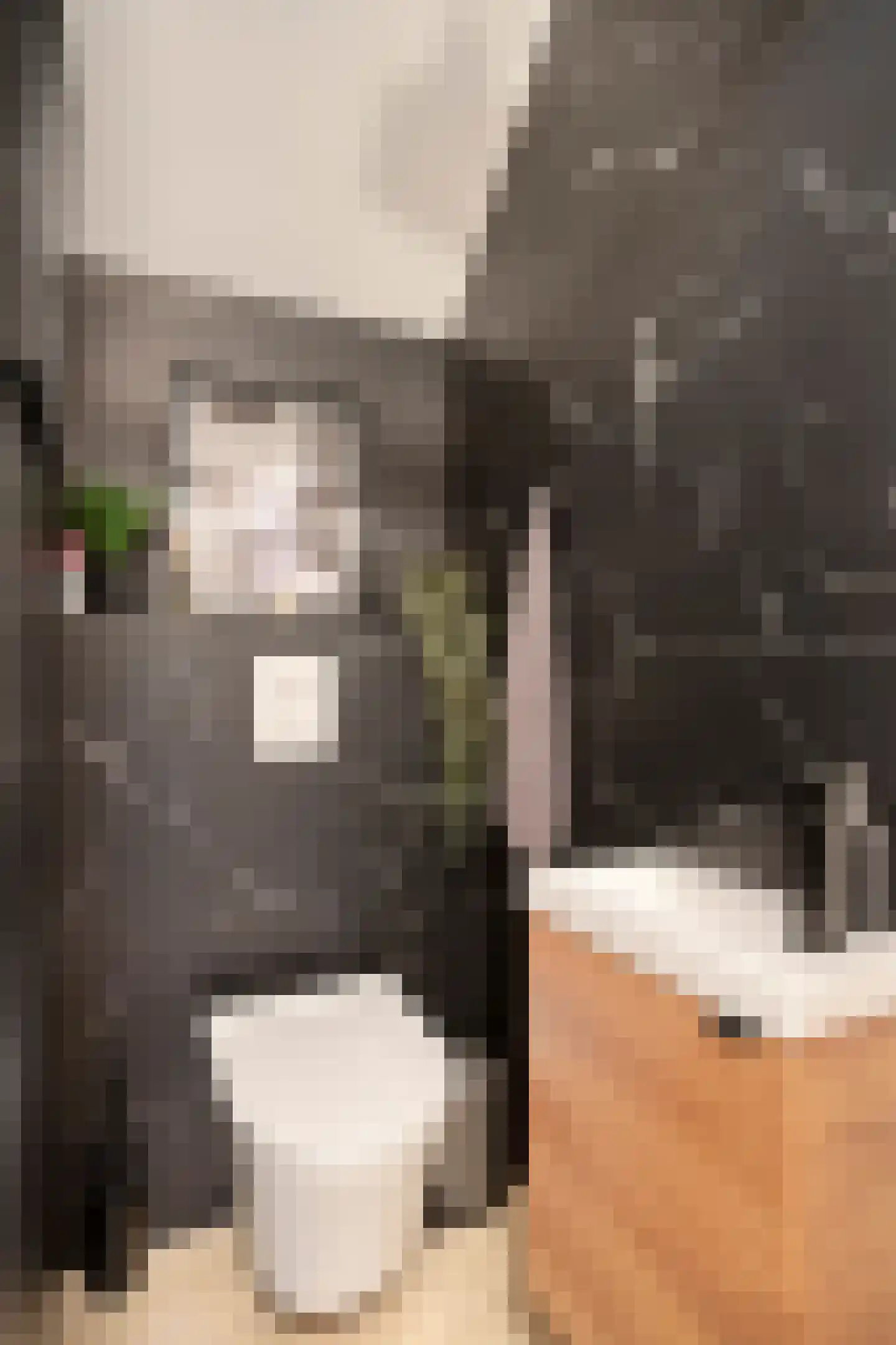 Eymerickhof 7 Helmond thumbnail 8