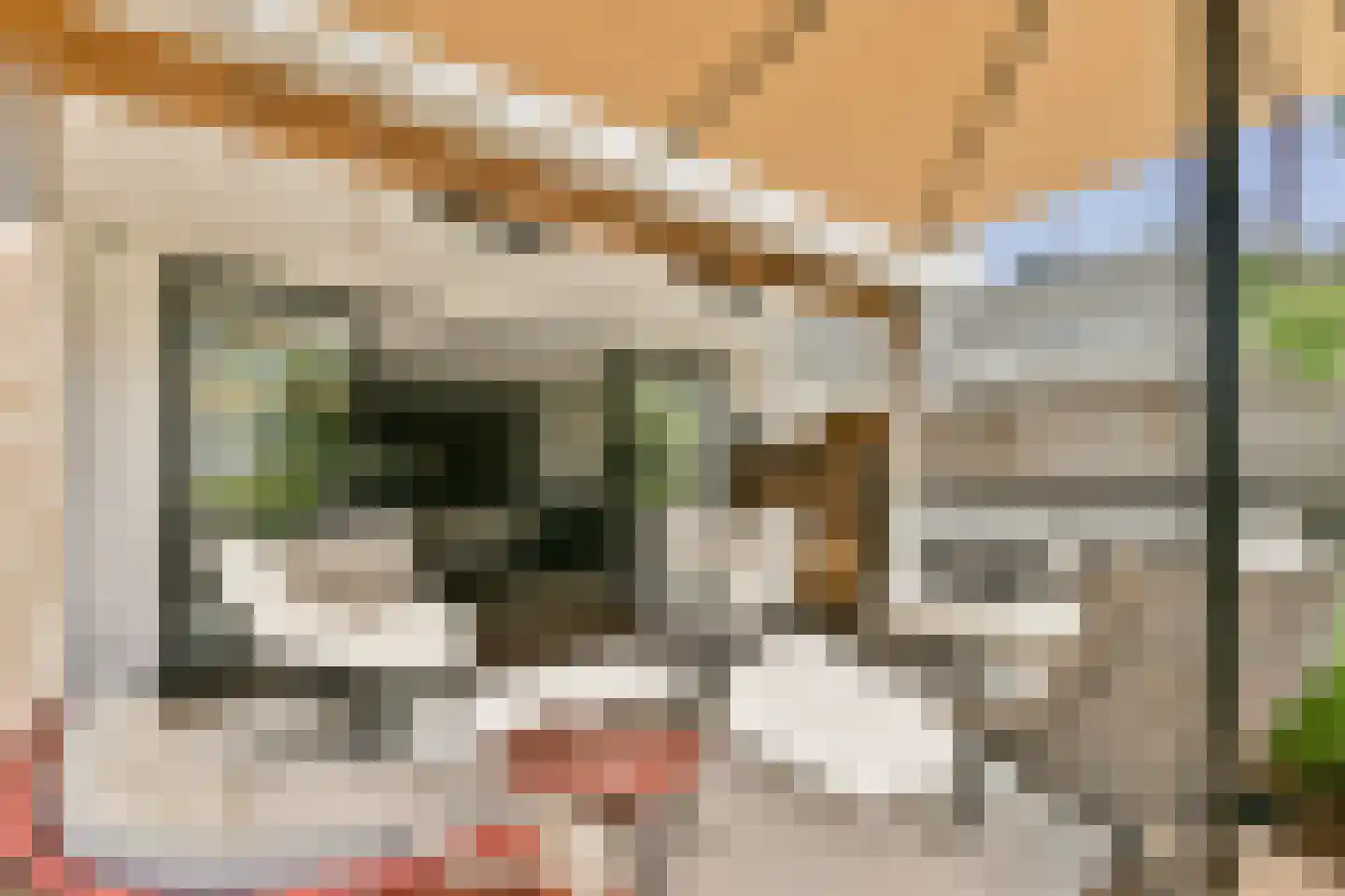 Eymerspoeldam 3 Warmond thumbnail 16