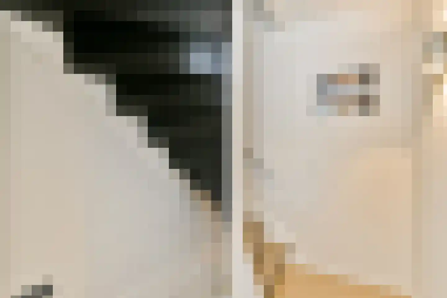 Eymerspoeldam 3 Warmond thumbnail 20