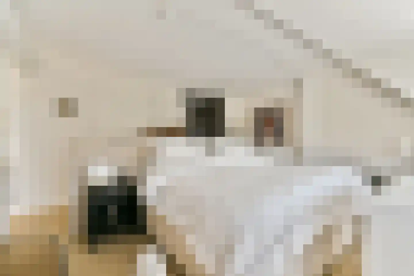 Eymerspoeldam 3 Warmond thumbnail 23