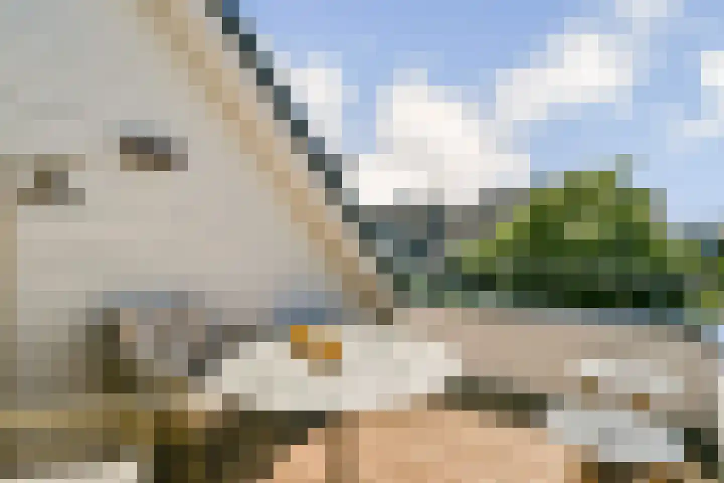 Eymerspoeldam 3 Warmond thumbnail 32