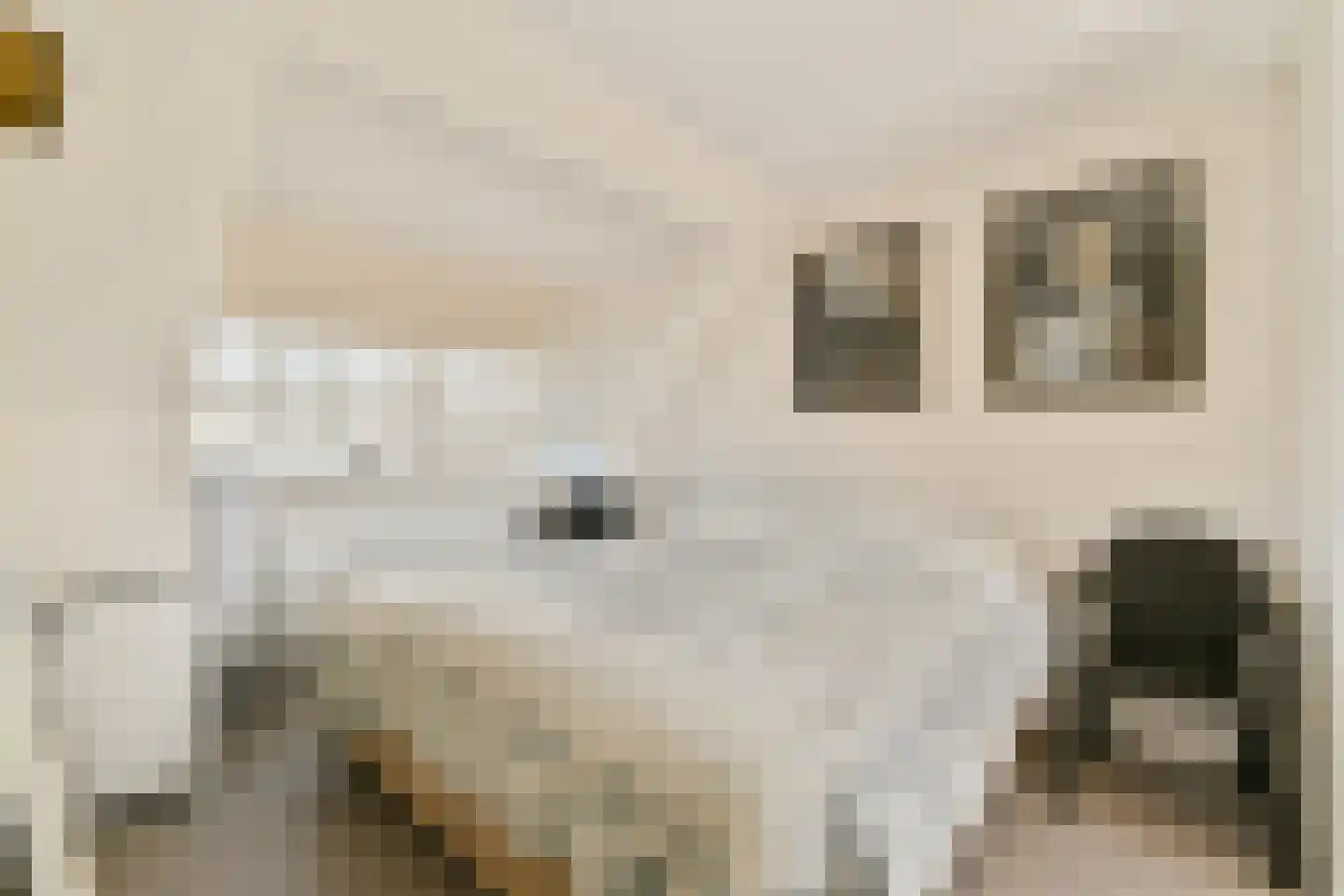 Eymerspoeldam 3 Warmond thumbnail 34