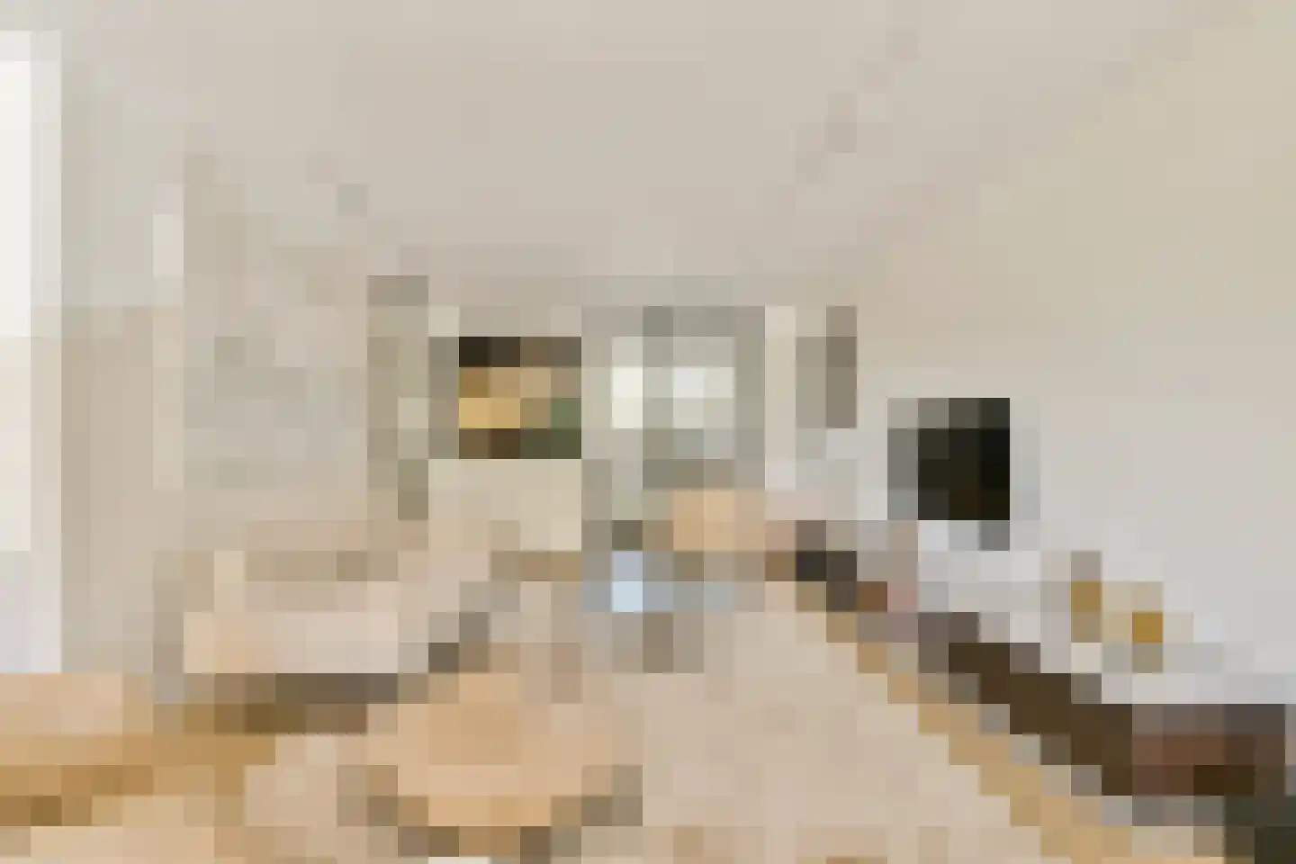 Eymerspoeldam 3 Warmond thumbnail 6