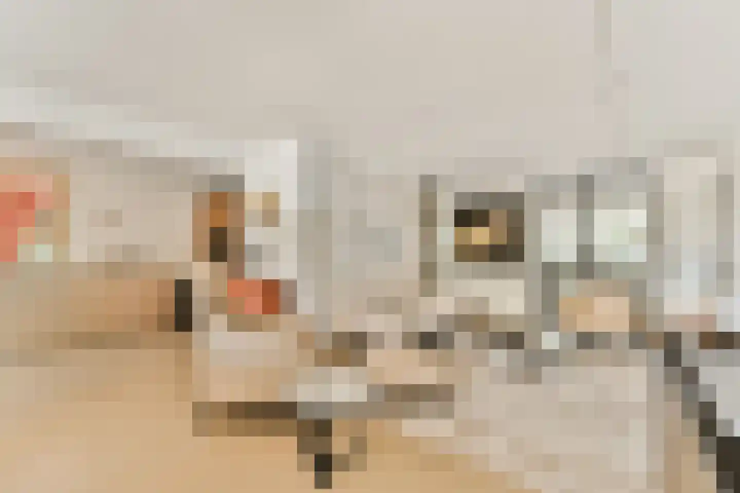 Eymerspoeldam 3 Warmond thumbnail 7