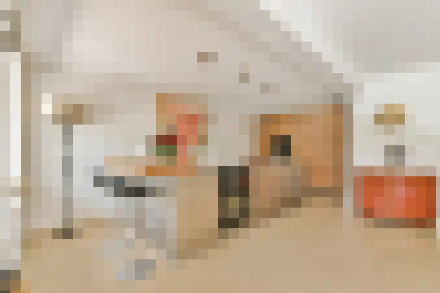 Eymerspoeldam 3 Warmond thumbnail 9