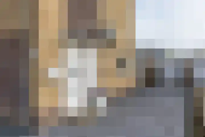 Eynattenstraat 9 Voerendaal thumbnail 4