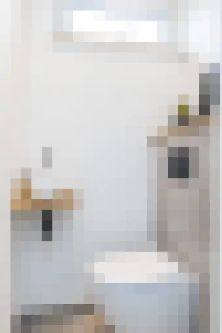 Eynattenstraat 9 Voerendaal thumbnail 8