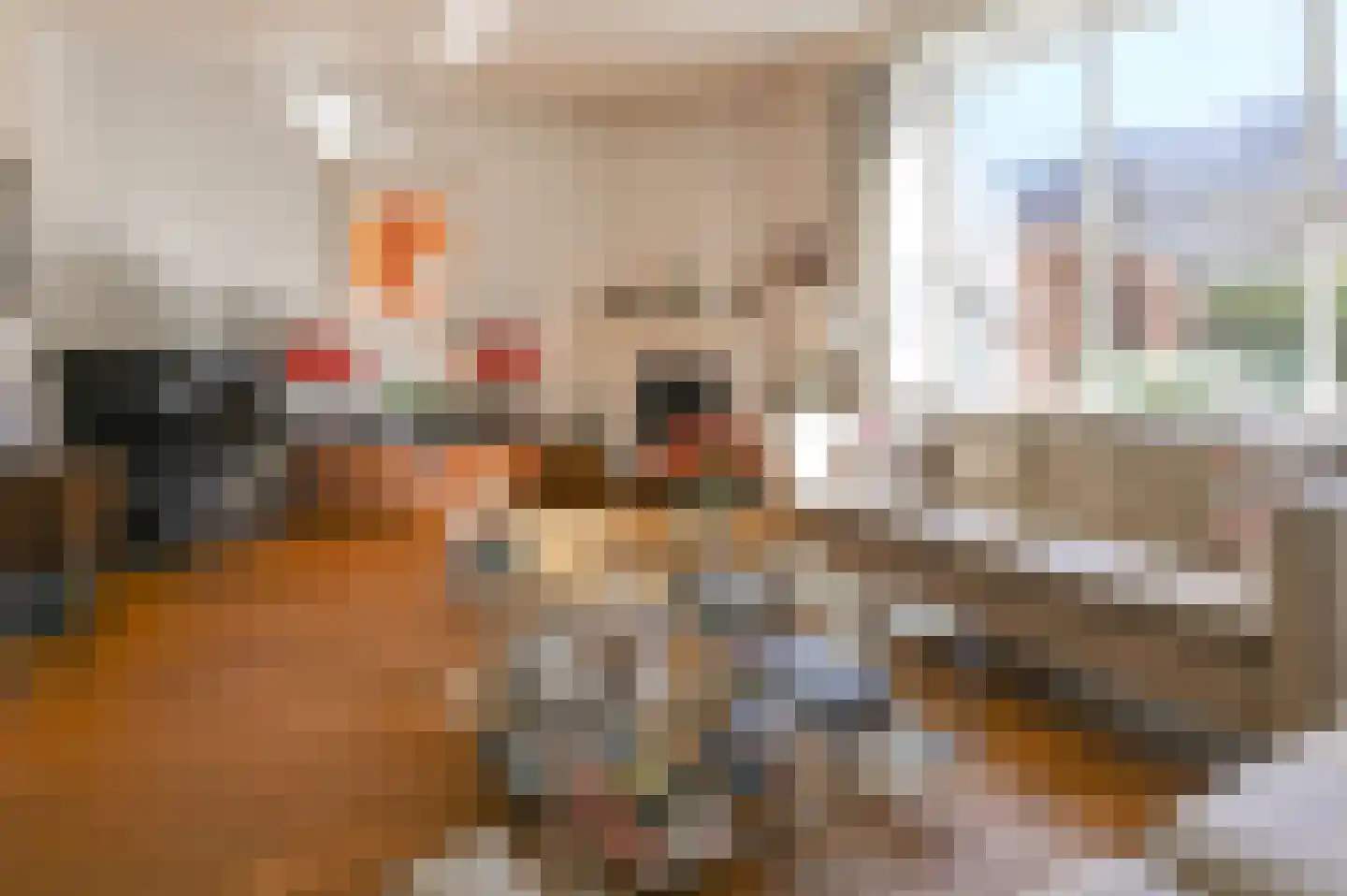 Eyndenhoefflaan 10 Santpoort-Noord thumbnail 8