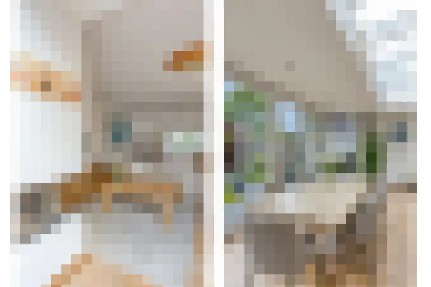 Eysenbrand 7 Moergestel thumbnail 10