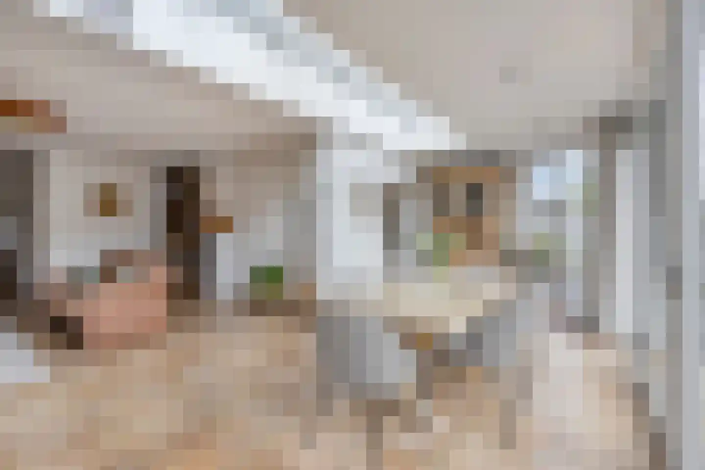 Eysenbrand 7 Moergestel thumbnail 17