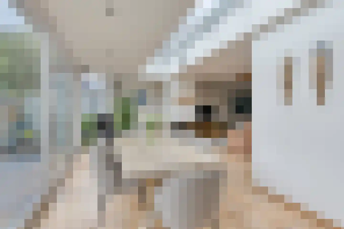 Eysenbrand 7 Moergestel thumbnail 18