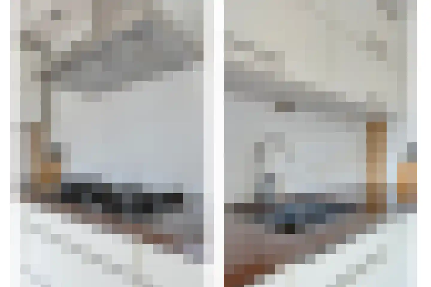 Eysenbrand 7 Moergestel thumbnail 21