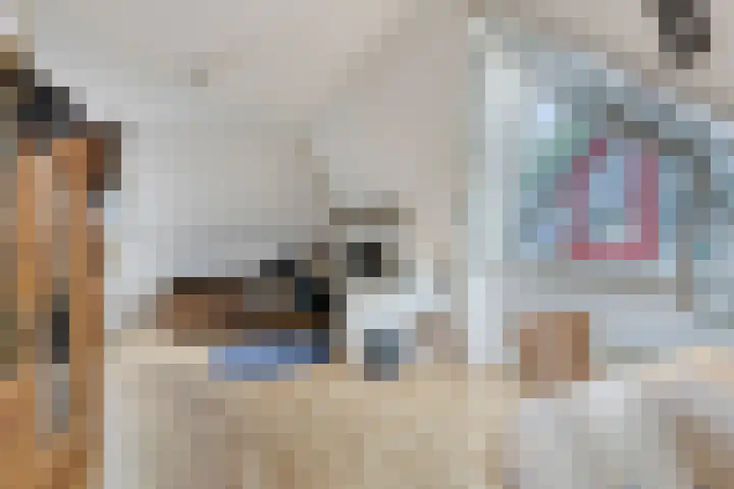 Eysenbrand 7 Moergestel thumbnail 38