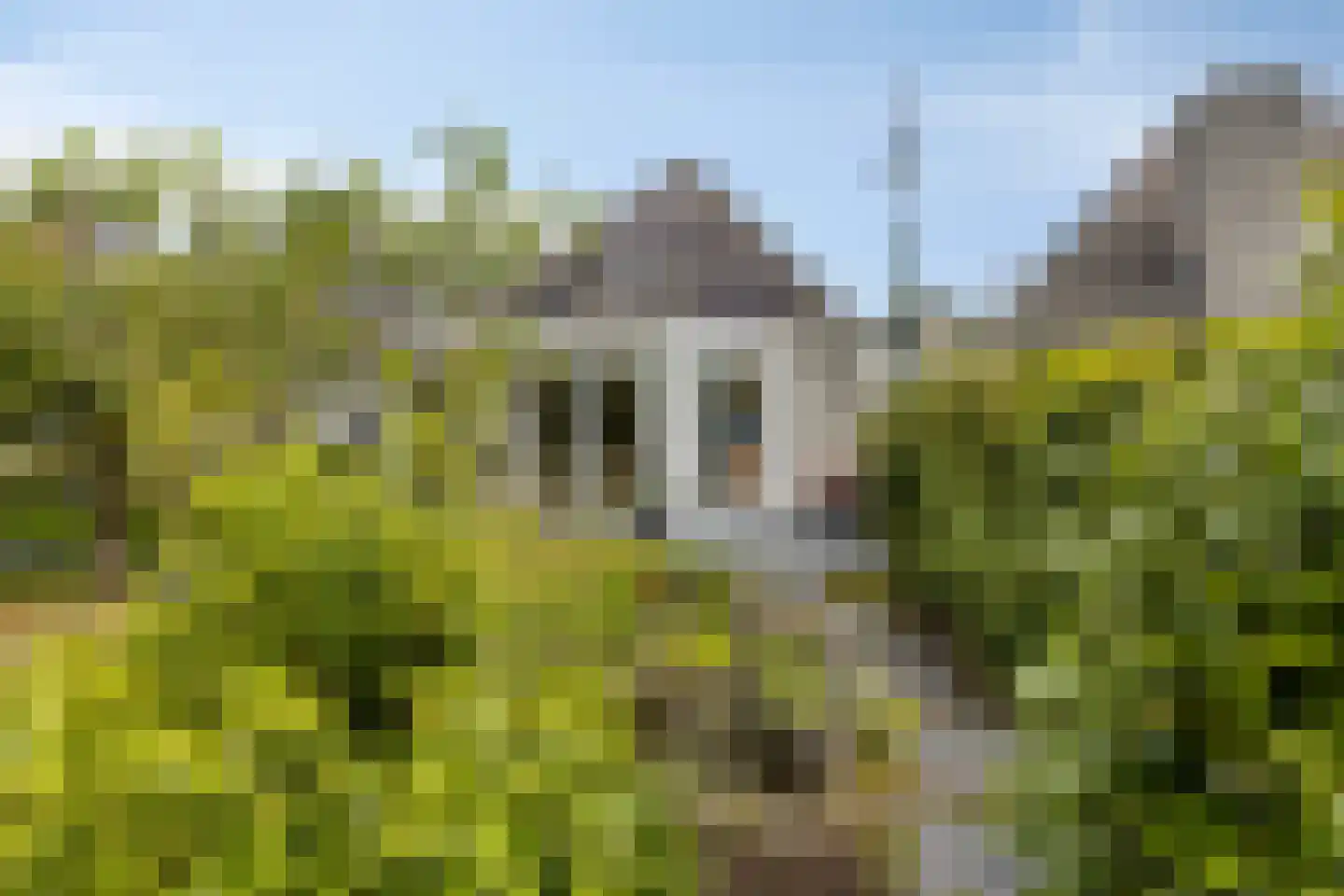 Eysenbrand 7 Moergestel thumbnail 45